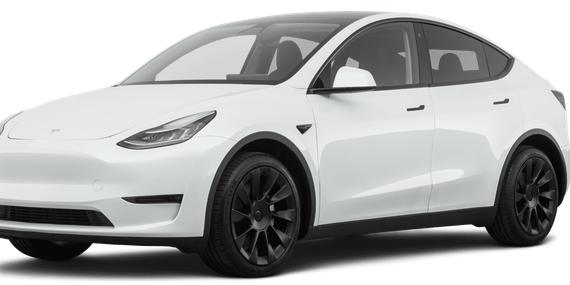 TESLA MODEL Y 2021 5YJYGDEE2MF152413 image